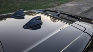 Nissan Ariya 2024 หลังคา